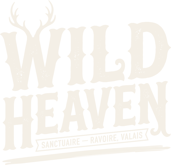 Wild Heaven
